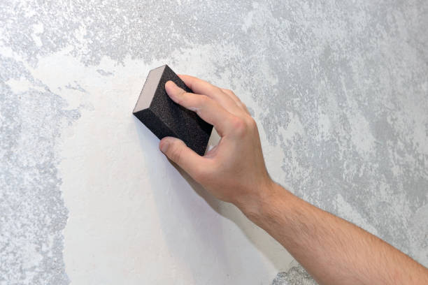 Best Crawl Space Mold Remediation  in Goshen, CA