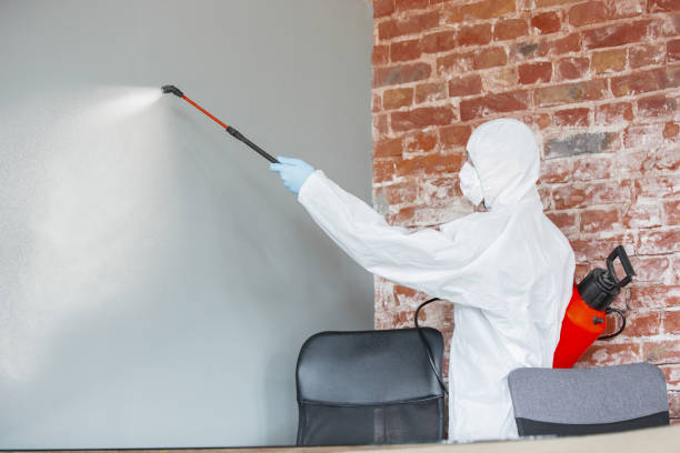 Mold Remediation for Rental Properties in Goshen, CA