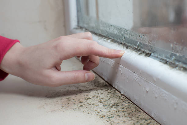 Best Biohazard Mold Removal  in Goshen, CA