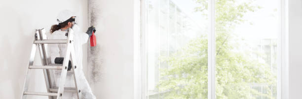 Best Attic Mold Removal  in Goshen, CA