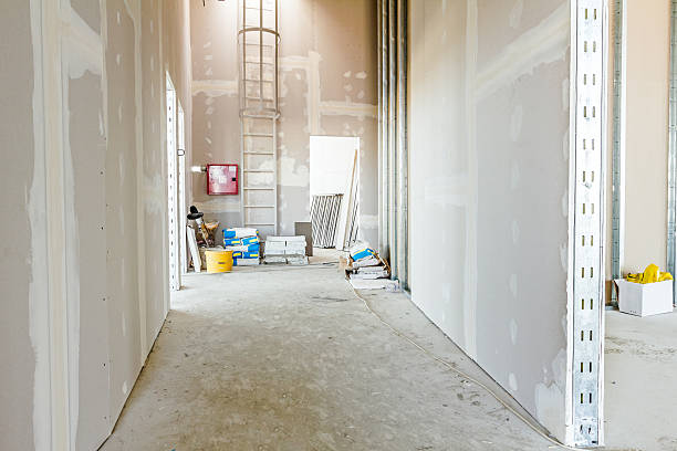 Best Black Mold Removal  in Goshen, CA